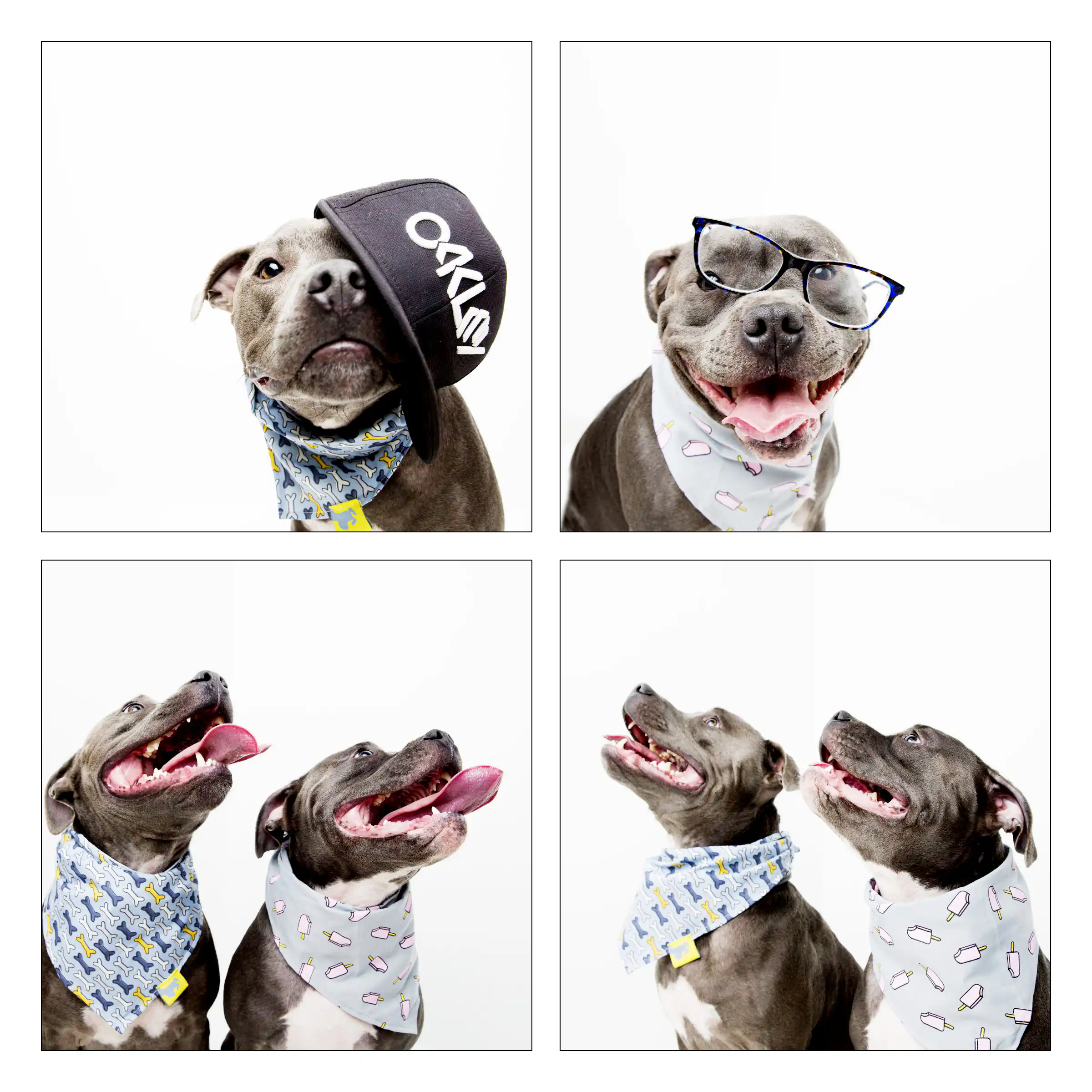 Website 03 Gallery 4 Square