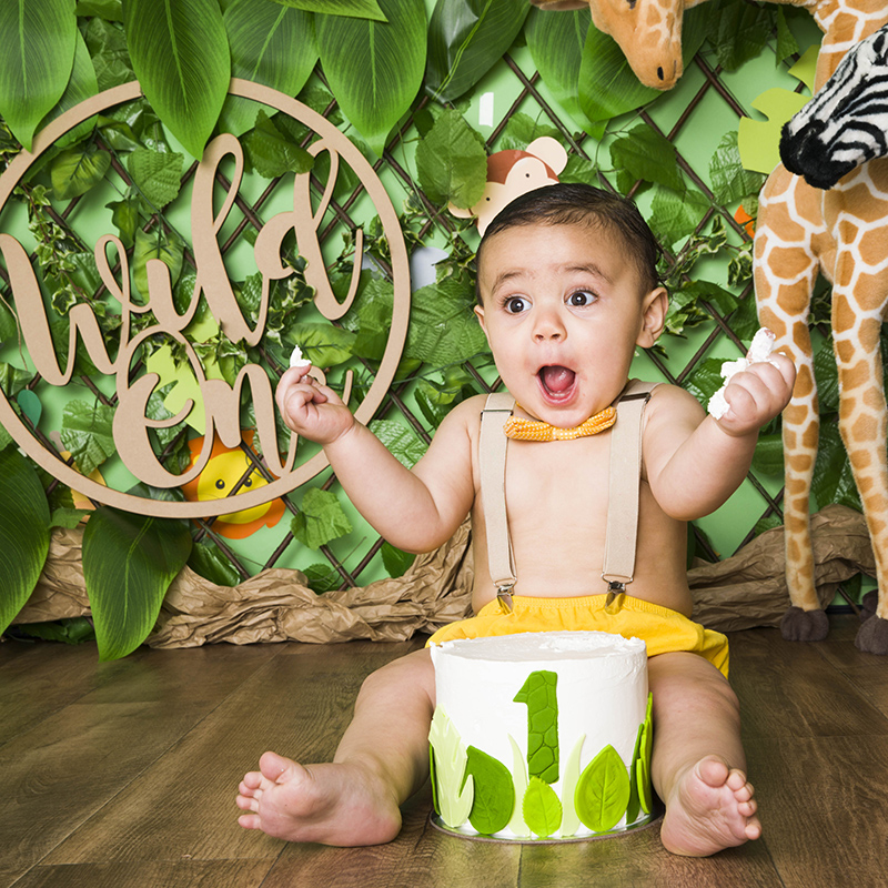 baby boy in suspenders wild jungle animals happy cute cake smash melbourne